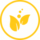 Gummy-C-icon-allergen-free Gummy-C-icon-allergen-free