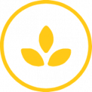 Gummy-C-icon-natural Gummy-C-icon-natural