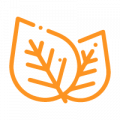 leaf leaf
