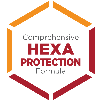 hexa.png