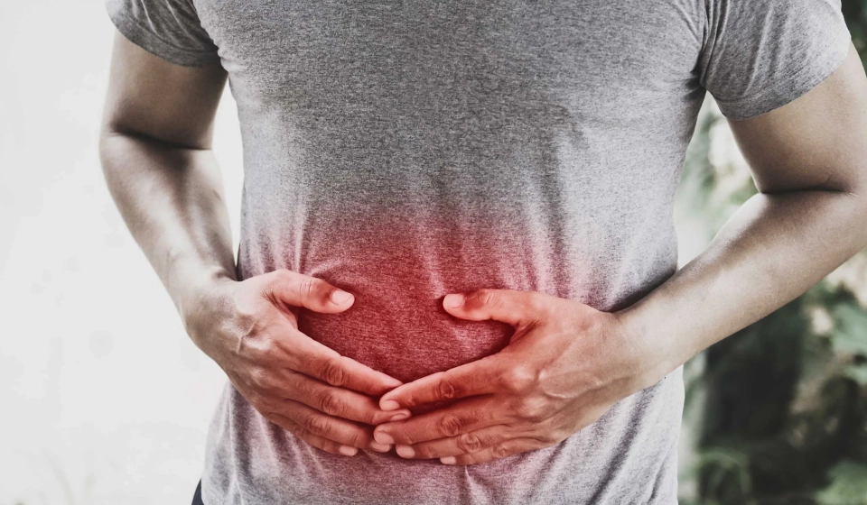 How-Gut-Health-Affects-Your-Body-2550x1434
