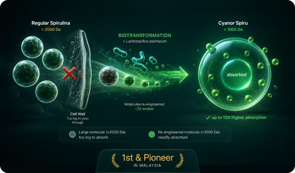 cyanor_diagram_biotransformation