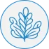 ic_cyanor_superfood_base