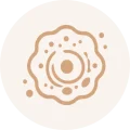 ic_xeniji_metabolism