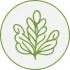 ic_xeniji_superfood_base